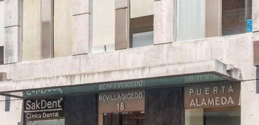 Apartamento en renta en Puerta Alameda 1 habitación 1 baño 1 estacionamiento Alberca, Gym, Bussiness Center